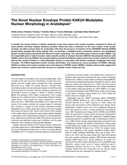 The Novel Nuclear Envelope Protein KAKU4
