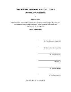 Lutes_ku_0099D_12489_DATA_1 - KU ScholarWorks