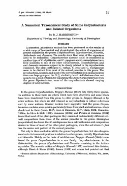 as a PDF