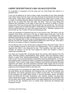 A BRIEF DESCRIPTION OF A BAY AS AN ECOSYSTEM ECOSYSTEM