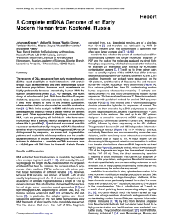 Report A Complete mtDNA Genome of an Early Modern Human
