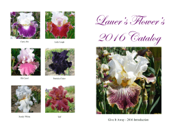 Print Catalog - Lauers Flowers