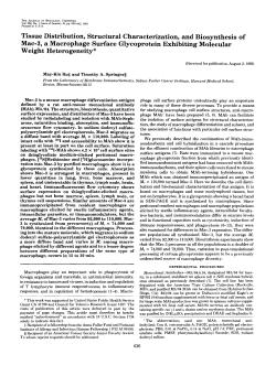 Tissue Distribution, Structural Characterization, and Biosynthesis of