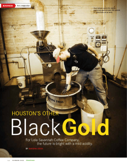 Lola Savannah Coffee Company