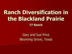 Ranch Diversification in the Blackland Prairie