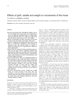 Effects of girth, saddle and weight on movements of the horse
