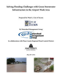 Solving Flooding Challenges with Green Stormwater Infrastructure