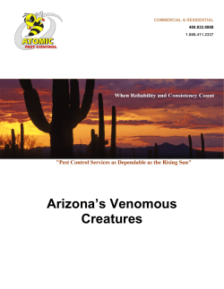 Arizona`s Venomous Creatures