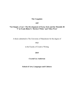 The Coagulate and `Not Simply a Case`: The Development of Form