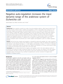 Negative auto-regulation increases the input dynamic