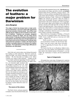 The evolution of feathers: a major problem for Darwinism