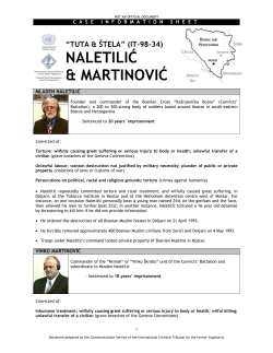 Case Information Sheet - International Criminal Tribunal for the