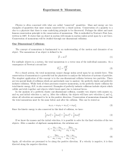 Experiment 9: Momentum - IIT College of Science