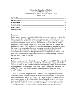 California`s Farm Labor Market: The Case of Raisin Grapes
