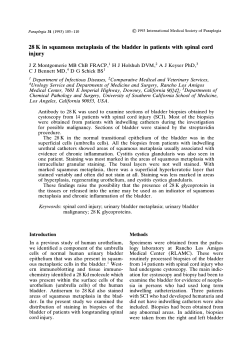 28 K in squamous metaplasia of the bladder in patients with