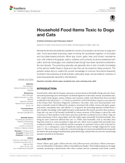 Household Food Items Toxic to Dogs and Cats