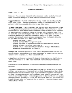 How Old Is Illinois?