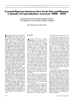 Coastal Ospreys between New York City and Boston: a decade of