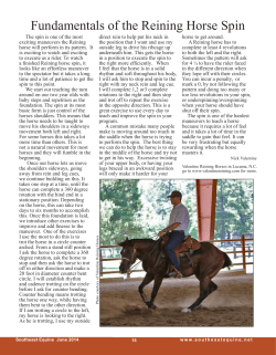 Fundamentals of the Reining Horse Spin
