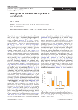 Homage to L. M. Coutinho: fire adaptations in cerrado plants