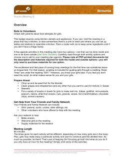 Meeting 2 - Girl Scouts of Greater New York