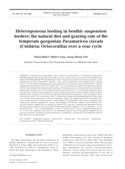 Heterogeneous feeding in benthic suspension feeders: the natural