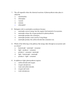 Photosynthesis Assessment