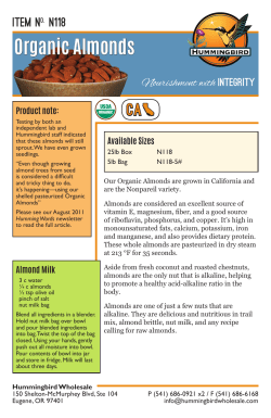 Organic Almonds - Hummingbird Wholesale