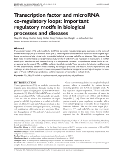Transcription factor and microRNA co-regulatory
