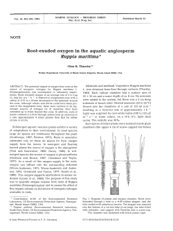 Root-exuded oxygen in the aquatic angiosperm