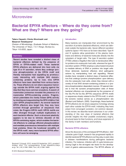 Bacterial EPIYA effectors Where do they come from? What are they