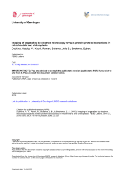 Imaging of organelles by electron microscopy reveals protein