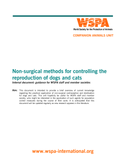 Non-surgical methods for controlling the reproduction of dogs and cats
