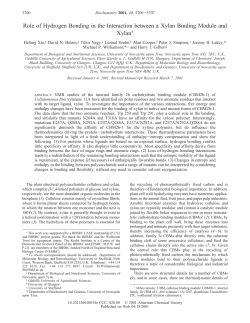 Role of Hydrogen Bonding in the Interaction between a Xylan