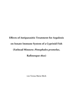 Effects of Antiparasitic Treatment for Argulosis on Innate Immune