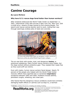 Canine Courage