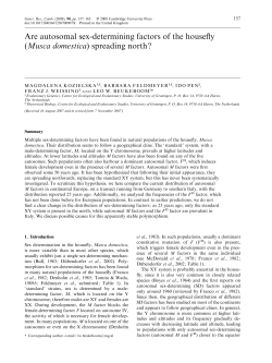 Are autosomal sex-determining factors of the housefly