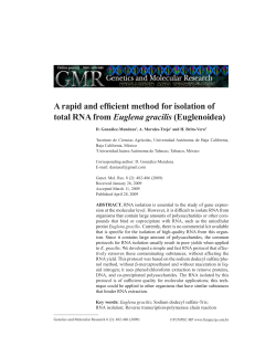 A rapid and efficient method for isolation of total RNA from Euglena