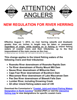 New Regulation for River Herring in Inland Fishing Waters of