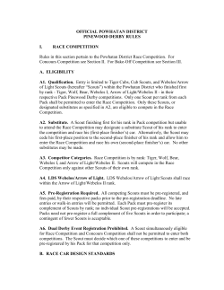 OFFICIAL POWHATAN DISTRICT PINEWOOD DERBY RULES I