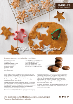 Haigh`s Chocolate Gingerbread