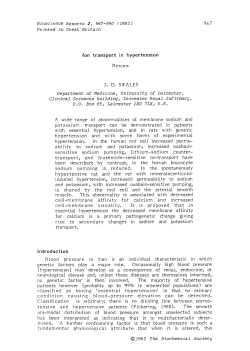 Ion transport in hypertension