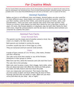 For Creative Minds - Arbordale Publishing