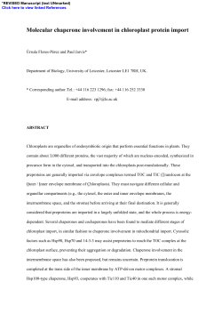 Molecular chaperone involvement in chloroplast protein import