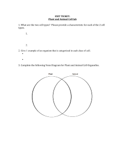 EXIT TICKET: Plant and Animal Cell lab 1. What are the two cell