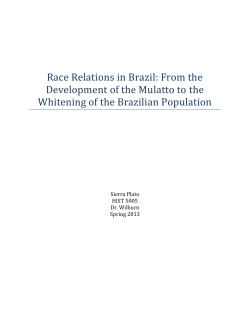 Race Relations in Brazil: From the Development of the Mulatto to the