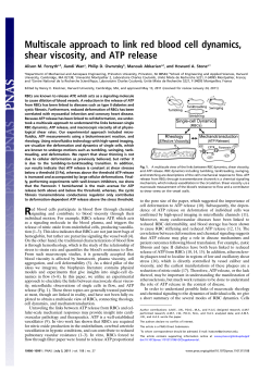 Multiscale approach to link red blood cell dynamics, shear viscosity