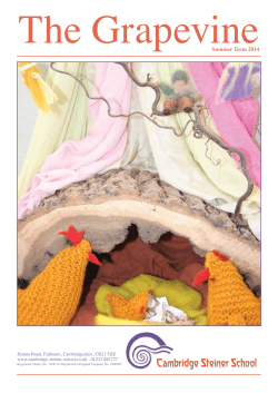 Summer 2014 - Cambridge Steiner School