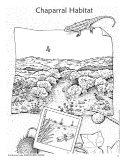 Chaparral Habitat - County of Santa Barbara