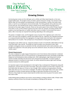 Tip Sheets - Bloomin Garden Centre